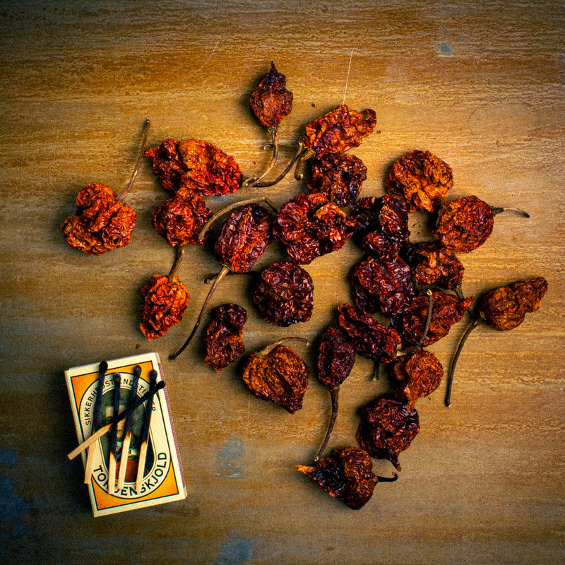 Trinidad Scorpion - whole dried chili
